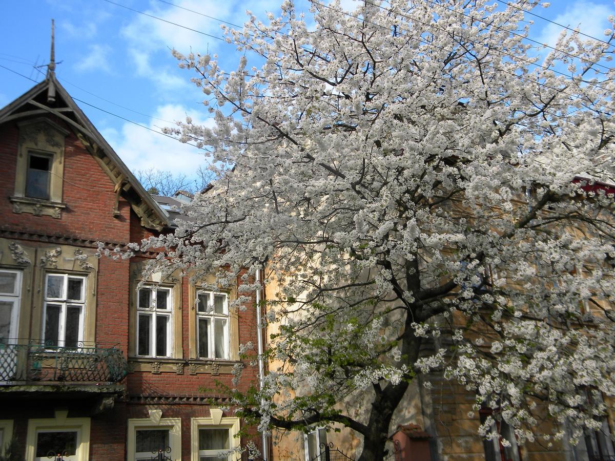 Studios At Anchevskih 3 Lviv Kültér fotó