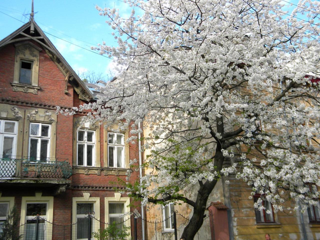 Studios At Anchevskih 3 Lviv Kültér fotó